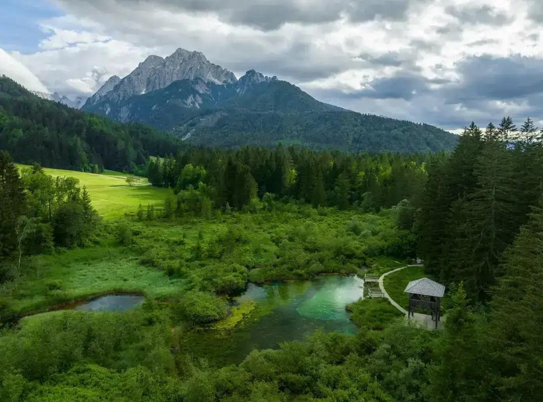A calm green valley in soft morning light