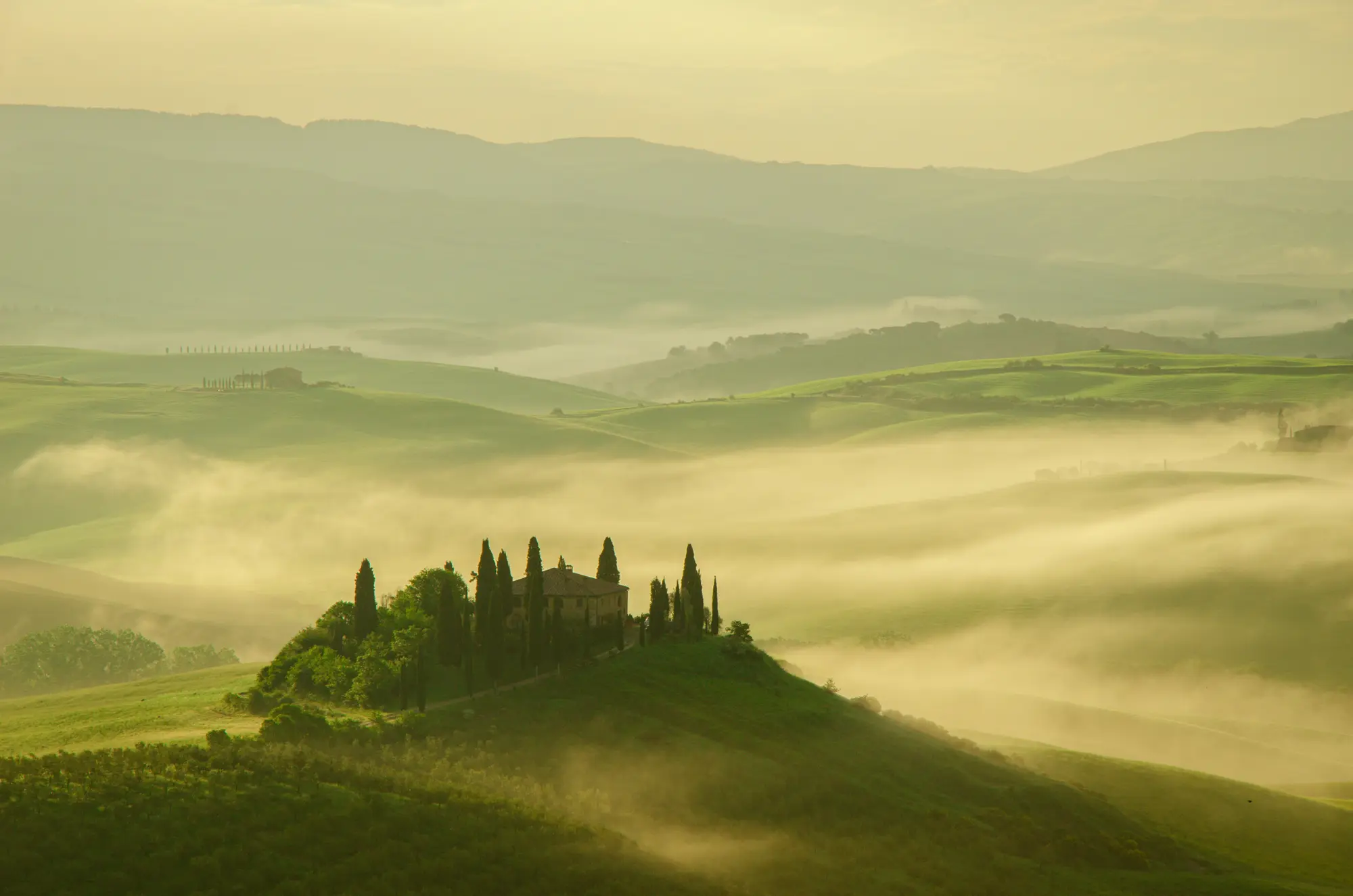Rolling hills at dawn with soft mist settling between them in warm golden light