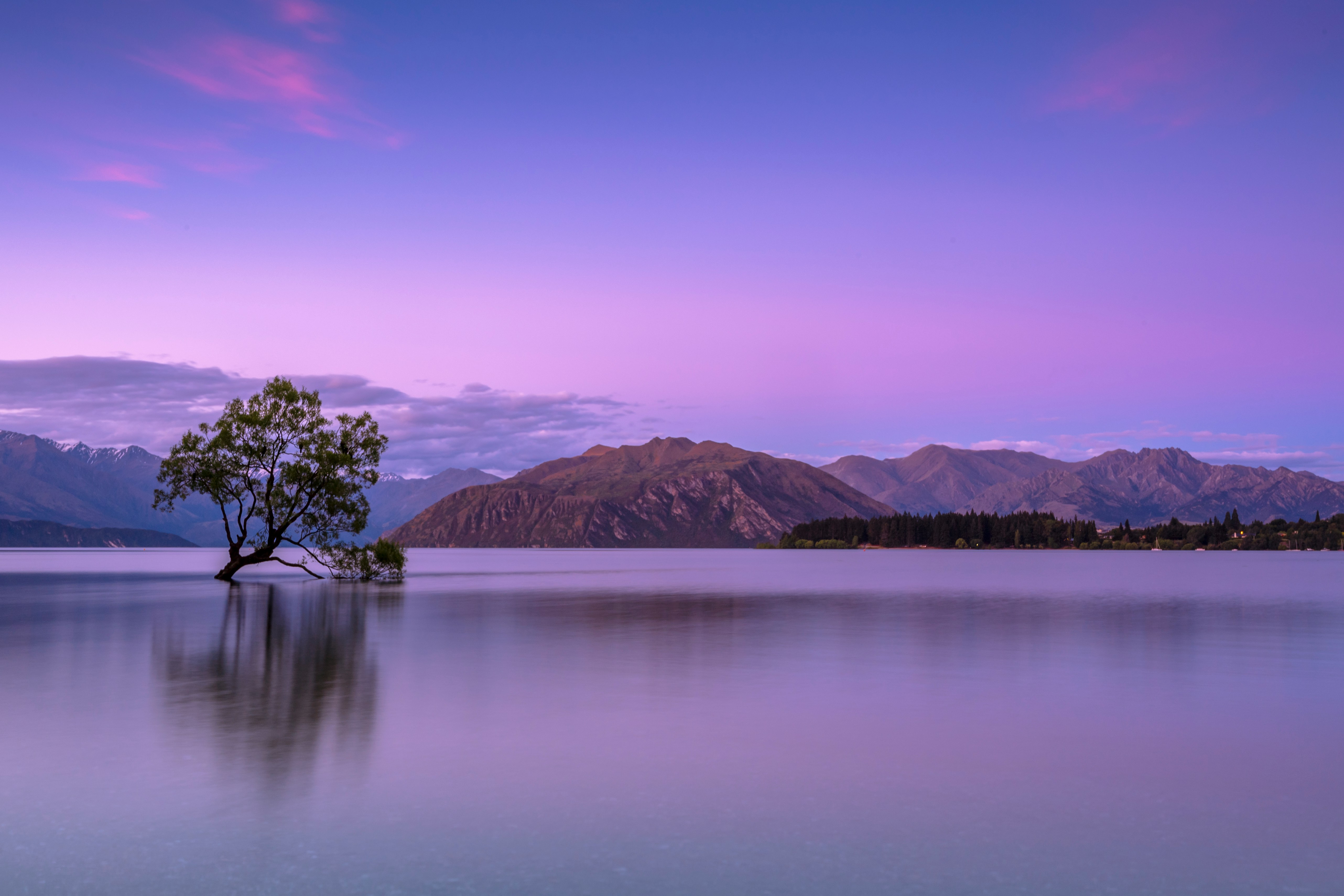 A single tree standing in a still lake at dusk, with mountains beyond and a soft lilac sky